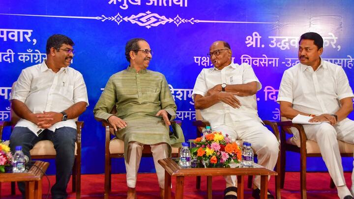 एनसीपी के संस्थापक शरद पवार ने कहा कि महा विकास अघाड़ी (एमवीए) के सदस्य महाराष्ट्र में 39 लोकसभा सीटों पर चुनाव लड़ने पर आम सहमति पर पहुंच गए हैं.