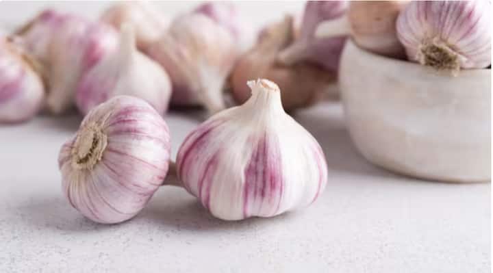 A farmer became a millionaire within a few days after selling garlic लसणानं शेतकऱ्याला केलं करोडपती, पिकाच्या सुरक्षेसाठी शेतात बसवले CCTV