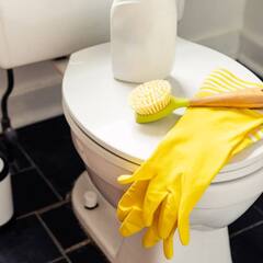 Toilet Seat : ਪ੍ਰੇਸ਼ਾਨ ਹੋ ਟੌਇਲਟ ਸੀਟ ਦੇ ਦਾਗ-ਧੱਬੇ ਤੋਂ, ਘਰ 'ਚ ਹੀ ਇੰਝ ਚਮਕਾਓ ਸ਼ੀਸ਼ੇ ਵਾਂਗ