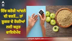 Health Tips: ਜੇਕਰ ਇੰਝ ਕਰੋਗੇ ਆਂਵਲੇ ਦੀ ਵਰਤੋਂ ਤਾਂ ਸ਼ੂਗਰ ਘਟਾਉਣ ਵਿੱਚ ਮਿਲੇਗਾ ਲਾਭ, ਜਾਣੋ ਇਹ ਢੰਗ
