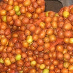 Health Tips: ਆਮ ਘਰਾਂ 'ਚ ਪਾਏ ਜਾਣ ਵਾਲੇ ਇਸ ਫਲ ਦੇ ਹਨ ਅਣਗਿਣਤ ਫਾਇਦੇ