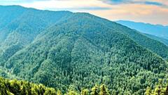 हिमाचल: शिमला के हासन वैली में बनेगा स्काई वॉक ब्रिज, सैलानियों के लिए होगा आकर्षण का केंद्र