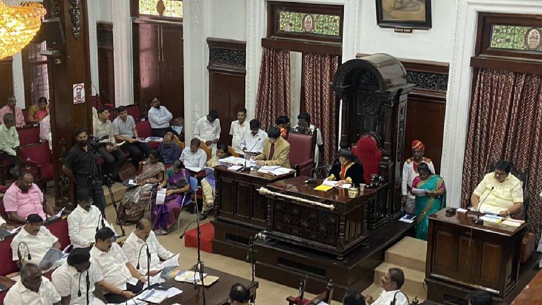 Chennai Corporation Budget: சாலைகளில் சுற்றித்திரியும் கால்நடைகள்.. கட்டுப்படுத்த மாநகராட்சி பட்ஜெட்டின் அறிவிப்புகள் என்ன?