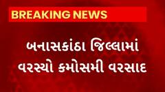 Banaskantha Unseasonal Rain | થરાદ અને ધાનેરામાં કમોસમી વરસાદથી પાકને નુકસાન
