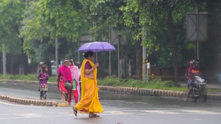 MP Weather updates Bhind Gwalior Datia rainfall and hailstorm in Madhya Pradesh ANN MP Weather Update: एमपी में कल से बदलेगा मौसम, बारिश के साथ पड़ेंगे ओले, जानिए किन जिलों में होगी वर्षा?