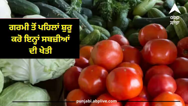 before-summer-farmers-can-grow-these-vegetables-for-better-income Agriculture: ਗਰਮੀ ਆਉਣ ਤੋਂ ਪਹਿਲਾਂ ਕਰੋ ਇਨ੍ਹਾਂ ਚੀਜ਼ਾਂ ਦੀ ਖੇਤੀ, ਫਿਰ ਦੇਖਿਓ ਕਿਵੇਂ ਹੋਵੇਗੀ ਇਨਕਮ