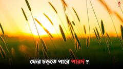 Weather Update: ৩০- ৫০ কিমি বেগে বইতে পারে দমকা হাওয়া, বৃষ্টিপাতের পূর্বাভাস হাওয়া অফিসের