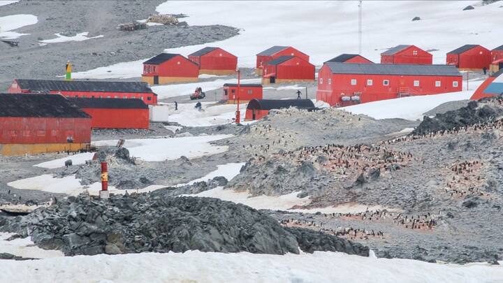 সম্প্রতি কাতারে আটকে থাকা ইরানের ৬০০ কোটি ডলার ছেড়ে দিয়েছে আমেরিকা। ওই টাকা আন্টার্কটিকায় পরিকাঠামো গড়ে তুলতে ব্যবহৃত হবে বলে জানিয়েছেন শাহরম। ছবি: পিক্সাবে।