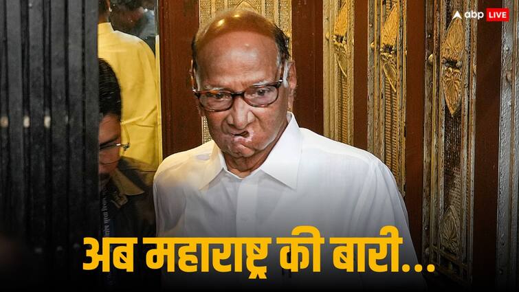 Sharad Pawar and Rahul Gandhi talked on phone about seat sharing row in Maharashtra for lok sabha election 2024 शरद पवार और राहुल गांधी की हो गई फोन पर बात, क्या महाराष्ट्र में भी सुलझ गई सीट बंटवारे पर मची रार?