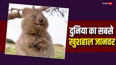 ये है सबसे खुश रहने वाला जानवर, स्माइलिंग फेस के लिए पूरी दुनिया में फेमस