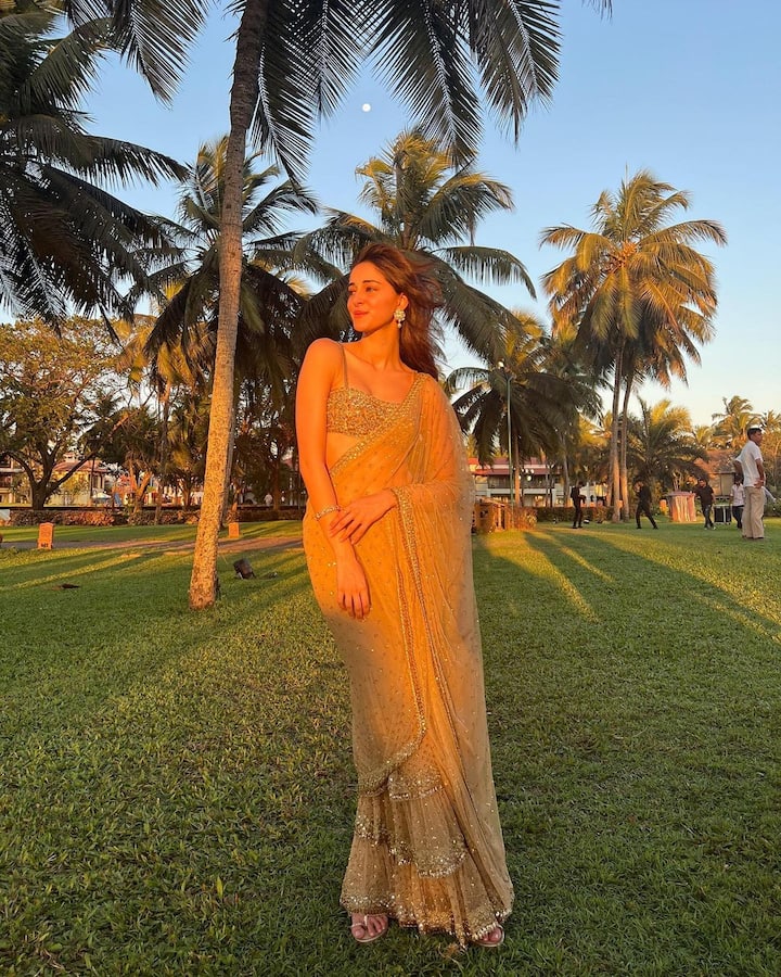 అనన్య పాండే 2019లో కరణ్ జోహార్ దర్శకత్వం వహించిన ‘స్టూడెంట్ ఆఫ్ ది ఇయర్ 2’ సినిమాతో తన సినిమా కెరీర్‌ ప్రారంభించింది.