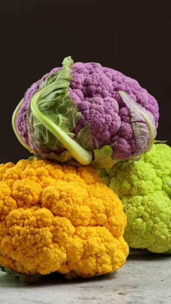 रंगीबेरंगी कोबीची लागवड करा,मिळेल भरघोस नफा