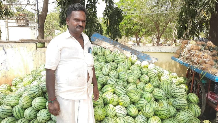 summer season Watermelon fruits that have arrived in Thanjavur - TNN வெயில் கொளுத்த ஆரம்பிக்கும் முன்பே வந்துட்டேன்... தஞ்சைக்கு வந்து குவிந்துள்ள தர்பூசணி