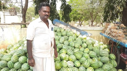 summer season Watermelon fruits that have arrived in Thanjavur - TNN வெயில் கொளுத்த ஆரம்பிக்கும் முன்பே வந்துட்டேன்... தஞ்சைக்கு வந்து குவிந்துள்ள தர்பூசணி