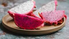 Dragon Fruit: ઘરમાં ખૂબ સરળતાથી ઉગાડી શકો છો ડ્રેગન ફ્રૂટ, રૂપિયાની થશે બચત