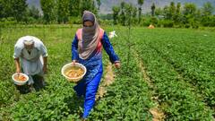 PM Kisan Yojana: पीएम किसान योजना के पैसे आने से पहले चेक कर लें अपना स्टेटस, ये है आसान तरीका