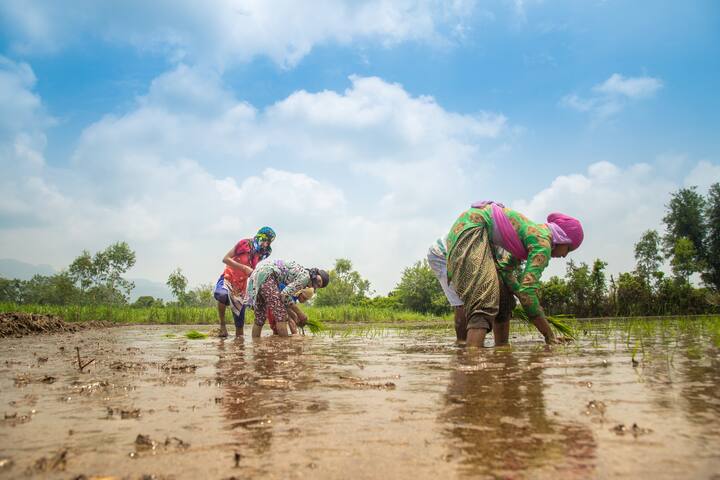 पीएम किसान योजना की अगली किस्त जारी होने से पहले आप अपने खाते का केवाईसी जरूर करा लें, बिना इसके आपके खाते में पैसे नहीं डाले जाएंगे.