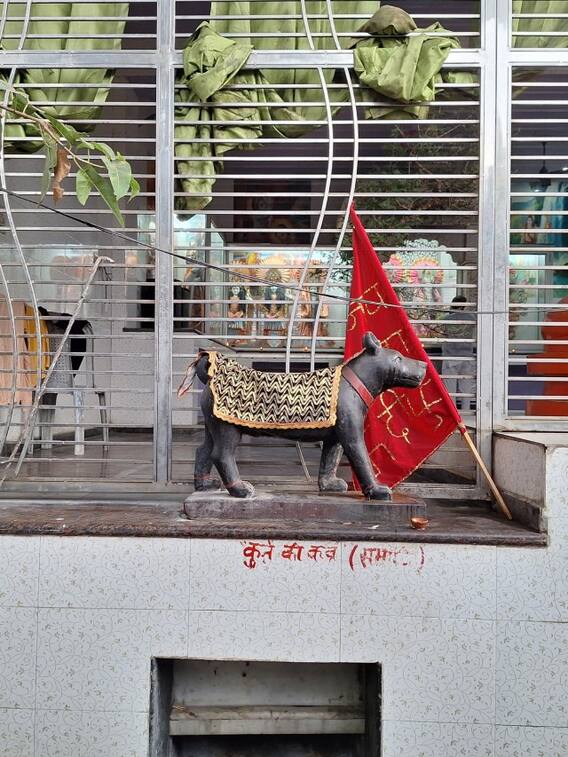 यूपी के इस शहर में होती है कुत्ते की पूजा