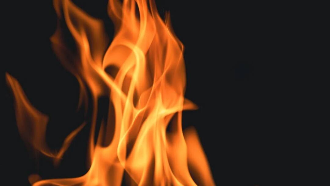 Dewas Son Burnt His Disabled Mother Alive She Died In Agony Accused Arrested Ann MP Crime: देवास में कलयुगी बेटे ने दिव्यांग मां को जिंदा जलाया, तड़प- तड़पकर हुई मौत, आरोपी गिरफ्तार