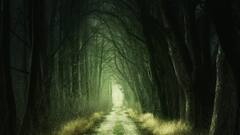 भारत में कितना है वन क्षेत्र और अब क्या है इसकी परिभाषा?