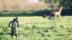 इस दिन आ जाएगा पीएम किसान योजना का पैसा, इन किसानों को नहीं मिल सकेगा फायदा