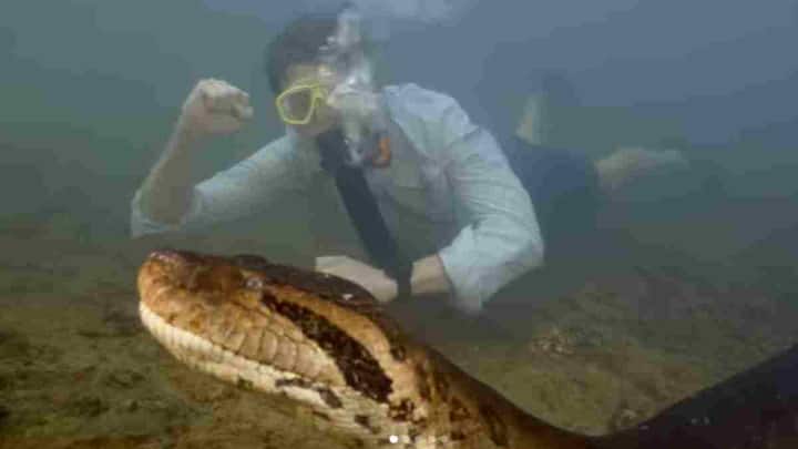 इस सांप की खोज वाइल्ड लाइफ टीवी एंकर फ्रीक वॉन्क ने की है. जब वो पानी में तैर रहे थे तभी अचानक से उनके सामने नई प्रजाति का सांप आ गया.