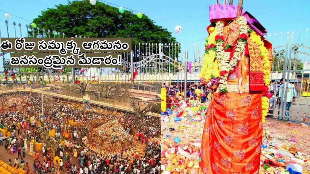 Medaram Jatara 2024: గద్దెపై కొలువుదీరిన సారలమ్మ - ఈ రోజు సమ్మక్క ఆగమనం - జనసంద్రమైన మేడారం! Medaram Jatara 2024 Devotees Throng Sammakka Sarakka Throne Day 2 saralamma measured on the throne Medaram Jatara 2024: గద్దెపై కొలువుదీరిన సారలమ్మ - ఈ రోజు సమ్మక్క ఆగమనం - జనసంద్రమైన మేడారం!