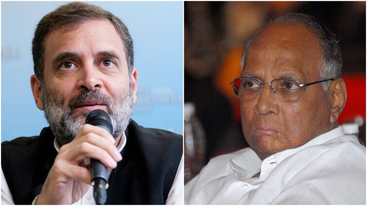 Rahul Gandhi And Sharad Pawar Talk about Seat-Sharing Method In Maharashtra Forward Of LS Polls