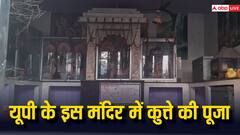 यूपी के इस मंदिर में होती है कुत्ते की पूजा, समाधि पर चढ़ाए जाते हैं श्रद्धा के फूल