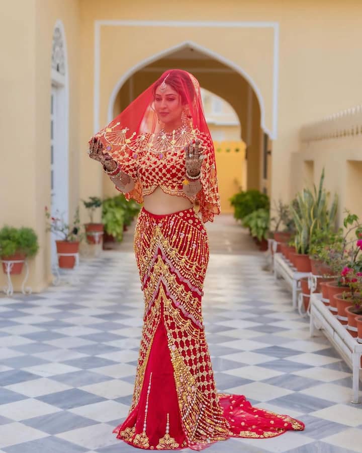 చాలా రోజుల తర్వాత ఇదిగో ఇలా పెళ్లి ఫొటోలతో సర్‌ప్రైజ్ ఇచ్చింది.