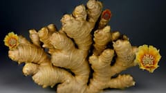 How to fast digestion : अन्न खाल्ल्यानंतर लगेच पचवायचं असेल तर करा हे उपाय, होईल पचनक्रिया जलद!