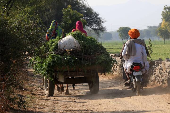 इसके बाद आपको रजिस्ट्रेशन नंबर और मोबाइन नंबर डालना होगा, फिर ओटीपी आने के बाद आपके सामने आपका लाभार्थी स्टेटस होगा.