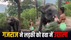 हाथी से दोस्ती करना लड़की को पड़ा भारी, गजराज ने हवा में उछाला...फिर किया ये