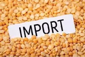 Food inflation will remain under control! Government extended the exemption period for yellow pulses Peas Import: ਸਰਕਾਰ ਮਹਿੰਗਾਈ ਨੂੰ ਕੰਟਰੋਲ ਕਰਨ ਲਈ ਲਗਾਤਾਰ ਕਰ ਰਹੀ ਉਪਾਅ! ਦਾਲਾਂ ਦੀਆਂ ਕੀਮਤਾਂ 'ਤੇ ਕਾਬੂ ਪਾਉਣ ਦੀ ਕੀਤੀ ਇੱਕ ਹੋਰ ਕੋਸ਼ਿਸ਼