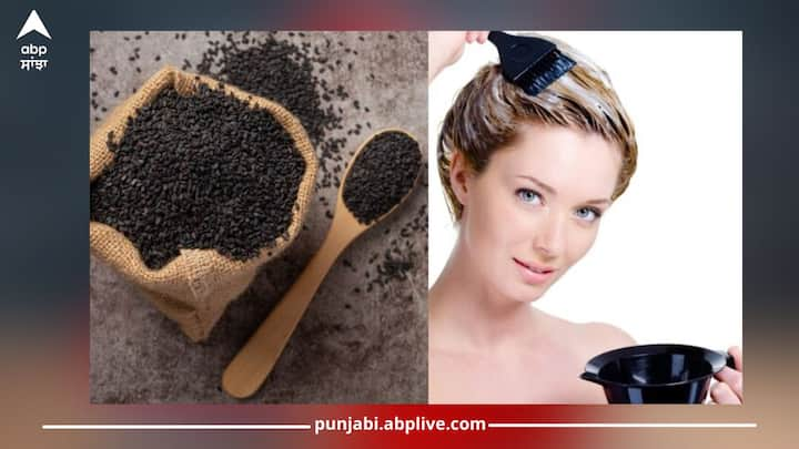 homemade hair dye for white hair: ਬਹੁਤ ਸਾਰੇ ਲੋਕ ਵਾਲਾਂ ਦੇ ਚਿੱਟੇ ਹੋਣ ਦੀ ਸਮੱਸਿਆ ਤੋਂ ਦੁੱਖੀ ਰਹਿੰਦੇ ਹਨ। ਤਣਾਅ ਅਤੇ ਭੱਜ-ਦੌੜ ਵਾਲੀ ਜ਼ਿੰਦਗੀ ਕਰਕੇ ਬਹੁਤ ਨੌਜਵਾਨਾਂ ਦੇ ਘੱਟ ਉਮਰ ਵਿੱਚ ਹੀ ਚਿੱਟੇ ਵਾਲ ਆ ਜਾਂਦੇ ਹਨ।