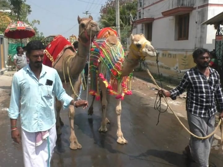 சுடும் வெப்பத்தையும் பொருட்படுத்தாத பக்தர்கள்;  காளிப்பனூர் பகவதி அம்மனுக்கு தீர்த்தம் எடுத்து வந்த பக்தர்கள்