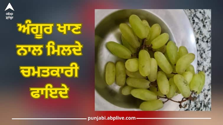 Surprising Benefits of Eating Grapes, Cancer Prevention, Eye to Heart Benefits Grapes Benefits: ਅੰਗੂਰ ਖਾਣ ਦੇ ਹੈਰਾਨੀਜਨਕ ਫਾਇਦੇ, ਕੈਂਸਰ ਤੋਂ ਬਚਾਅ, ਅੱਖਾਂ ਤੋਂ ਲੈ ਕੇ ਦਿਲ ਤੱਕ ਲਾਹੇਵੰਦ