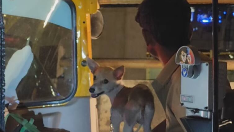 Auto rickshaw driver ride his auto with pet dog get it for a ride see video trending गोद में डॉग को लिए ऑटो चलाते ​नजर आया ड्राइवर​, लोग दे रहे प्रतिक्रिया