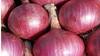 Onion Export: இனி வெங்காயம் இந்த நாடுகளுக்கு ஏற்றுமதி செய்யப்படும்.. 54,670 டன் ஏற்றுமதிக்கு அனுமதி வழங்கிய இந்தியா..