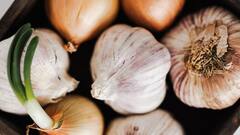 प्याज की खेती करते समय किसान भाई ध्यान रखें ये बातें, नहीं तो हो सकता है नुकसान