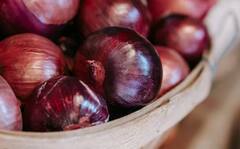 Onion Farming: ਪਿਆਜ਼ ਦੀ ਖੇਤੀ ਕਰਨ ਵੇਲੇ ਇਨ੍ਹਾਂ ਗੱਲਾਂ ਦਾ ਰੱਖੋ ਧਿਆਨ, ਨਹੀਂ ਤਾਂ ਹੋ ਜਾਵੇਗਾ ਨੁਕਸਾਨ