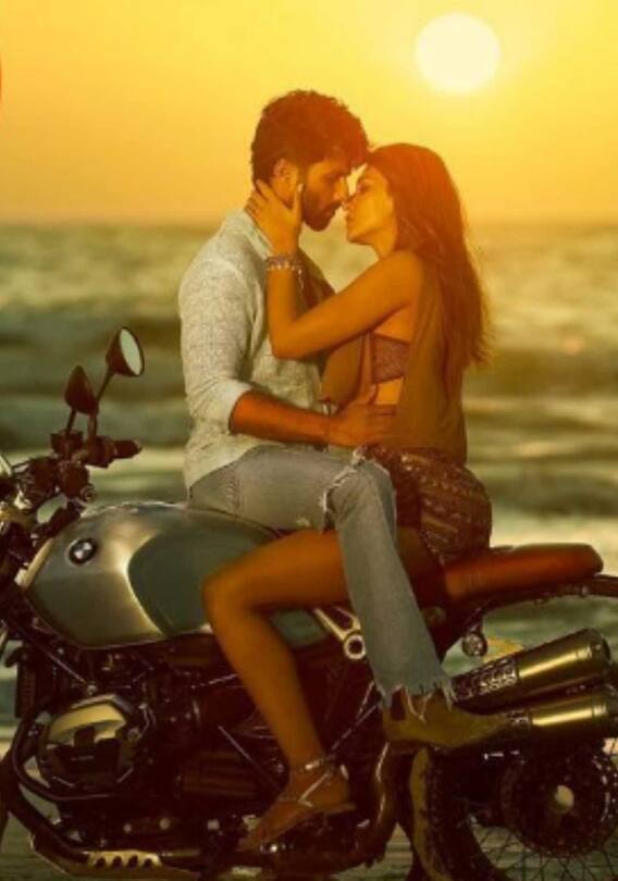 14वें दिन शाहिद-कृति की फिल्म ने किया इतना कलेक्शन