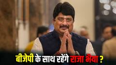 राज्यसभा चुनाव में बीजेपी के साथ रहेंगे राजा भैया?