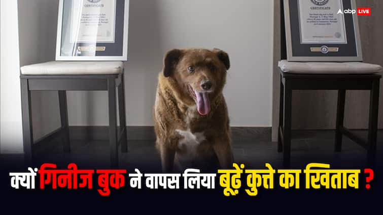 Guinness Book withdrew the title of oldest dog know how old is the dog ग‍िनीज बुक ने वापस लिया इस कुत्ते से सबसे बुजुर्ग कुत्ते का खिताब, जानें कितनी होती है कुत्तों की उम्र