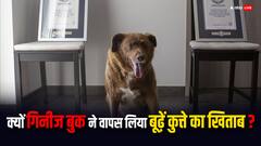 ग‍िनीज बुक ने वापस लिया इस कुत्ते से सबसे बुजुर्ग कुत्ते का खिताब, जानें कितनी होती है कुत्तों की उम्र