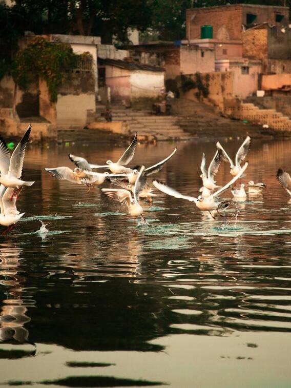 मन की शांति की तलाश में हैं, तो दिल्ली के इन धार्मिक स्थलों के बारे में जान लें