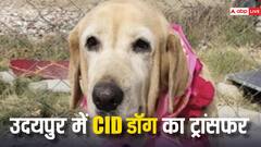 राजस्थान में पुलिसकर्मियों के साथ डॉग मेरी का भी हुआ ट्रांसफर, उदयपुर CID में थी तैनात