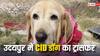 Udaipur CID Dog Transfer: राजस्थान में पुलिसकर्मियों के साथ डॉग मेरी का भी हुआ ट्रांसफर, उदयपुर CID में थी तैनात