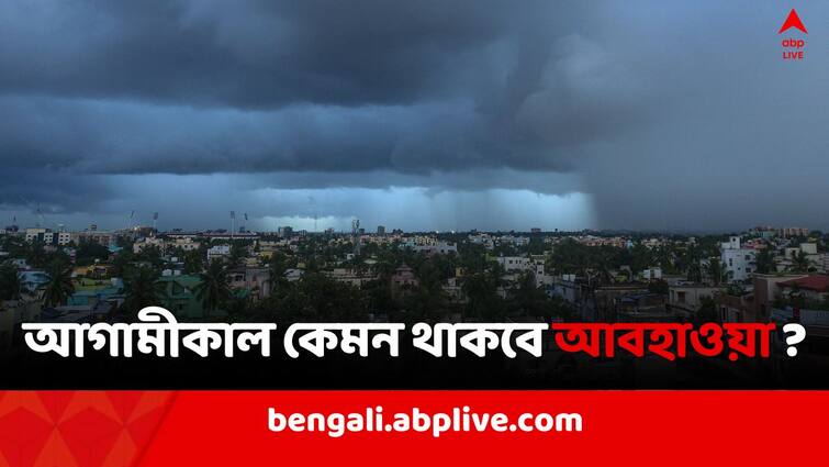 West Bengal Weather Update Lightning Rain Fore Cast  in South Bengal North Bengal 25 February 2024 Weather Update: আগামীকাল রাজ্যজুড়ে বজ্রবিদ্যুৎ-সহ বৃষ্টির সম্ভাবনা, বড় বার্তা হাওয়া অফিসের
