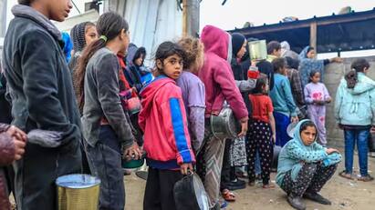 Gaza Camp Palestinian man slaughter horses to feed children as food running out போரால சாகல.. பசியால சாகுறோம் காசா அகதிகள் முகாமில் உணவின்றி தவிக்கும் குழந்தைகள்!